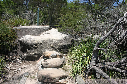 Jibbon Head. Access to the engravings from the eastern part of the walking track. Turn right (against the arrow) and you'll soon see a large sign explaining the engravings.