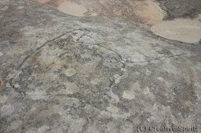 ibbon Head. A clearly visible stingray engraved into the sandstone. Other structures are not as easily visible. Morning and afternoon hours are best for photography.