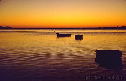Murchison River. During sunset everyone finds their own gold…