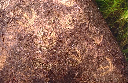 Karratha. Aboriginal petroglyphs: rock engravings of Emu tracks.
